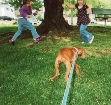 dog playing with children